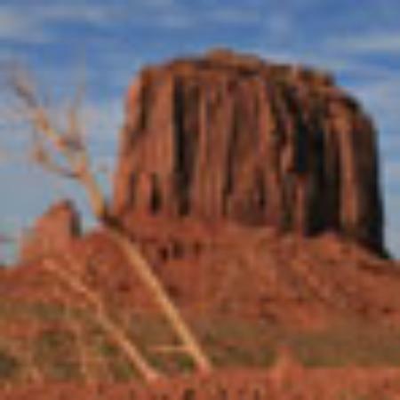 Butjenter Bistro-Kätsch Up