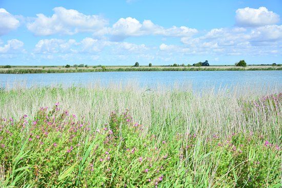 Vogelbeobachtungshütte am Leyhörn