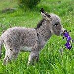 Cheers Bier & Cocktails