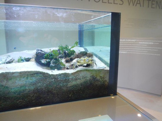 Nationalpark-Haus Wurster Nordseeküste