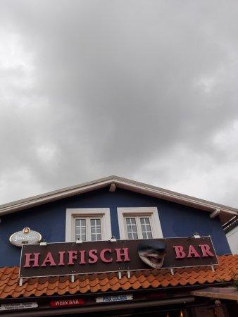 Haifisch Bar