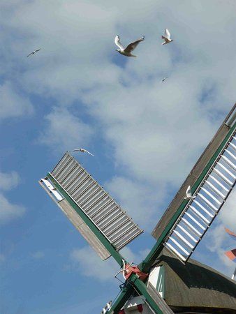 Kulturzentrum Seefelder Mühle