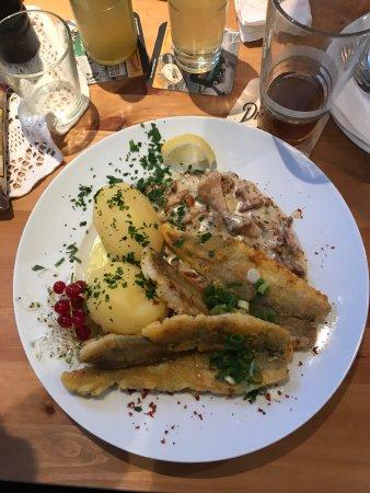 Ulmenklause Restaurant & Cafe