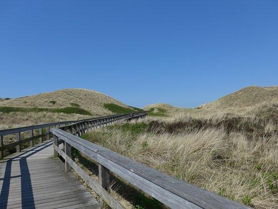 Onkel Johnny's Strandwirtschaft