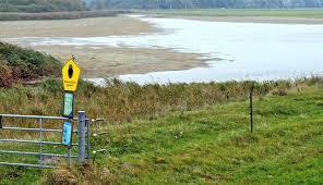 Grüne Insel mit Eiderwatt