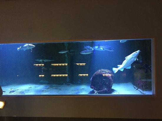 Nordseeaquarium Borkum