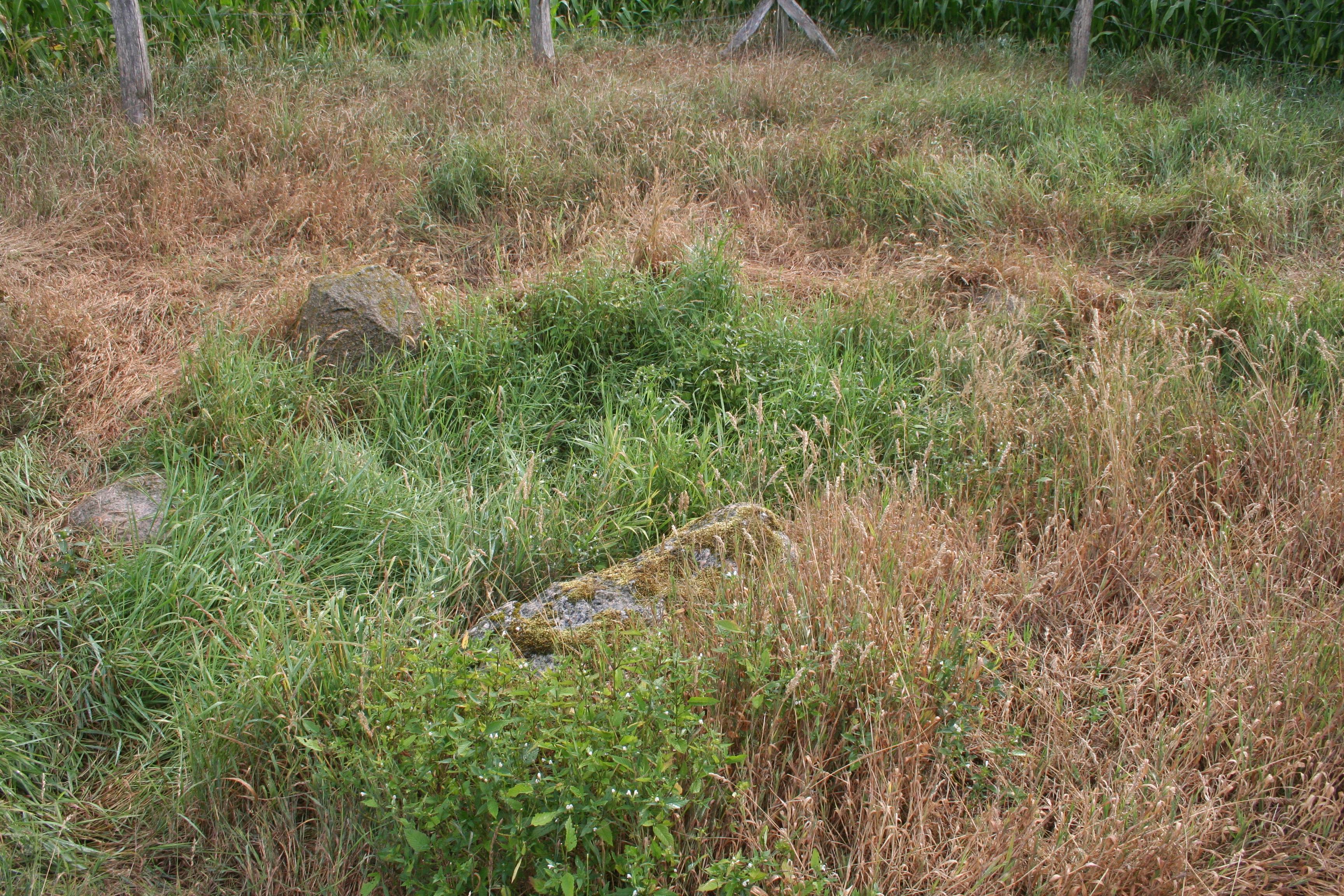 Großsteingrab Rastede