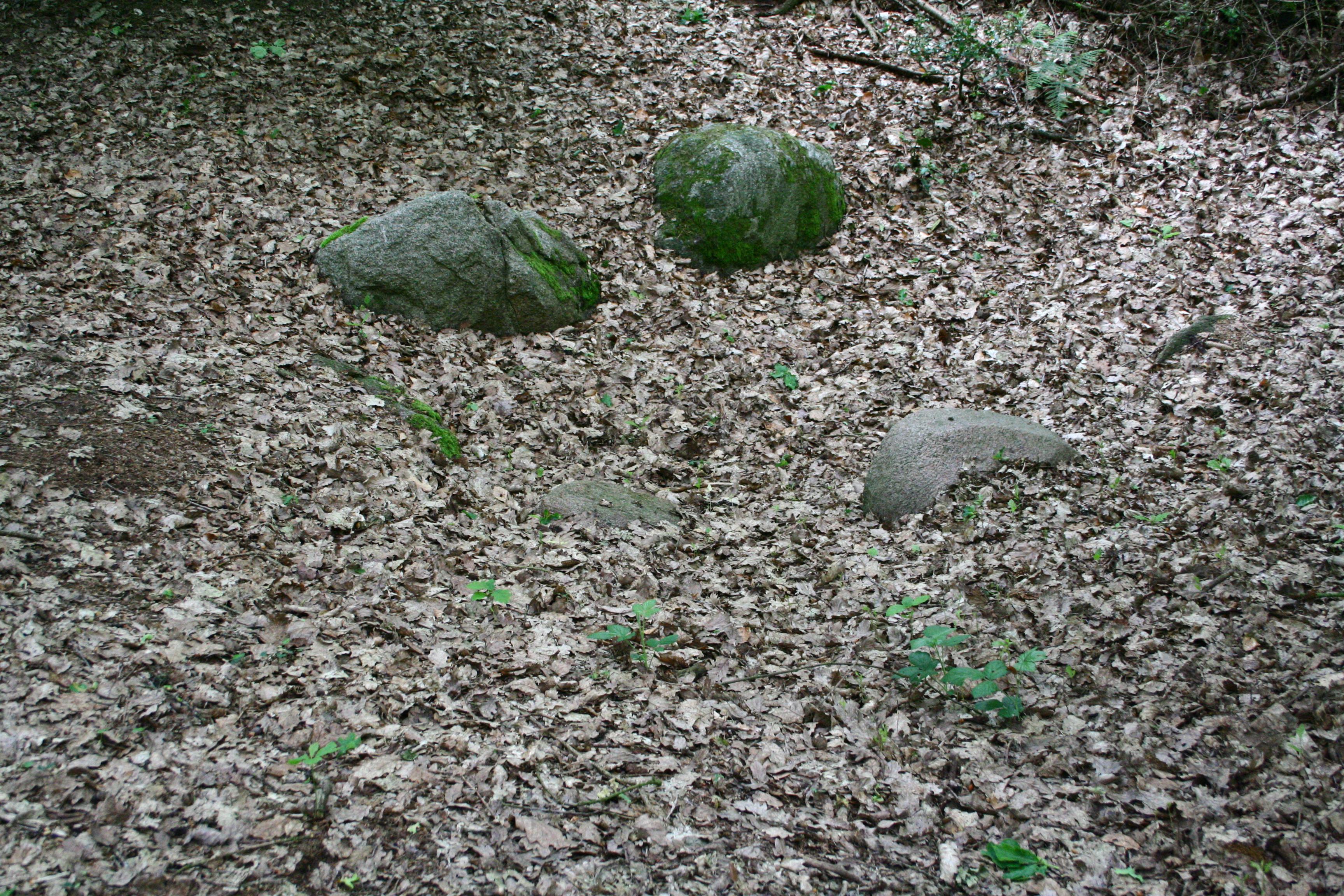 Großsteingrab Wehden