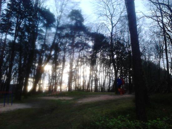 Waldgasthof zur Königstanne