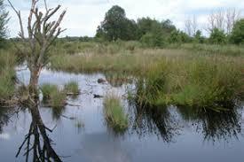 Fröslev-Jardelunder Moor