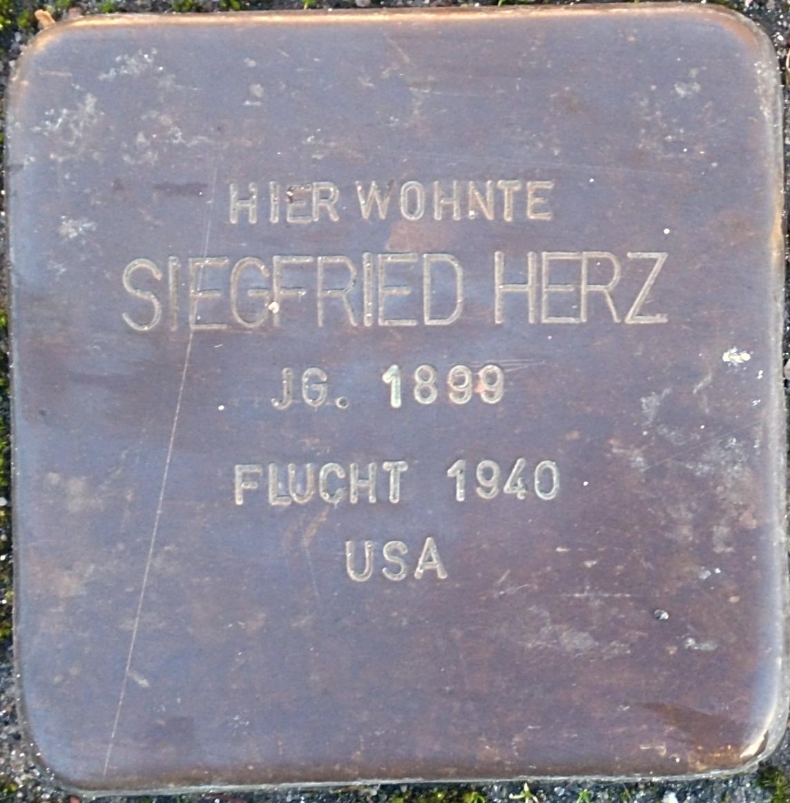 Stolperstein für Siegfried Herz