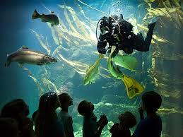 Multimar Wattforum Tönning