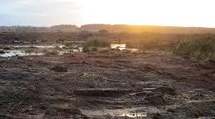 Wildes Moor bei Schwabstedt